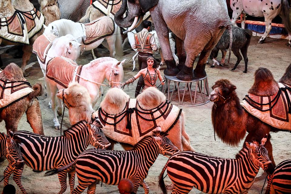 Richter Jzsef s Marrylu 2